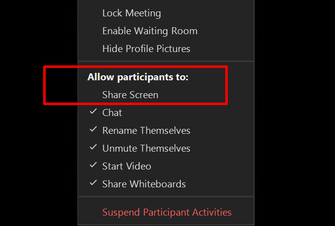 How to Fix Zoom Screen Sharing not Working - host to allow participants to share screen